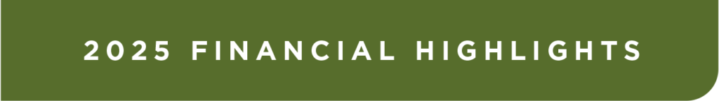 2025 financial highlights